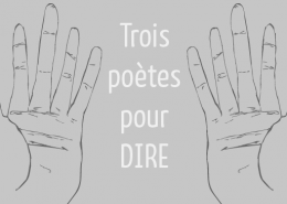 LA collection DIRE est lancée !